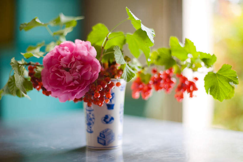 无人,横图,室内,特写,白天,正面,植物,桌面,桌子,浆果,花瓶,叶子,阴影,花纹,朦胧,模糊,装饰,盛开,反射,光线,木制,图案,影子,陶瓷,灯笼果,陶瓷制品,花蕾,花,花瓣,花朵,花卉,鲜花,一朵,绿色,阳光,木制品,瓶子,花束,花苞,花蕊,华丽,修饰,点缀,红醋栗,衬托,美观,雅致,雅观,醋栗,彩图