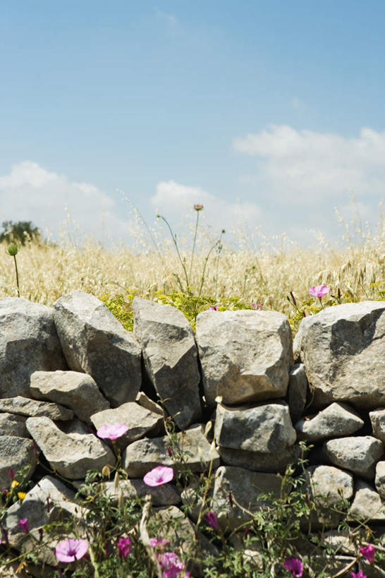 无人,花园,竖图,室外,白天,正面,旅游,度假,草地,草坪,花圃,石头,美景,植物,阴影,盛开,光线,石子,影子,墙,景观,云,云朵,围墙,花蕾,云彩,娱乐,石墙,墙壁,墙面,草,花,花瓣,花朵,鲜花,蓝色,绿色,白云,蓝天,天空,阳光,自然,天,花苞,花蕊,享受,休闲,景色,放松,晴朗,自然风光,石块,晴空,小花园,彩图