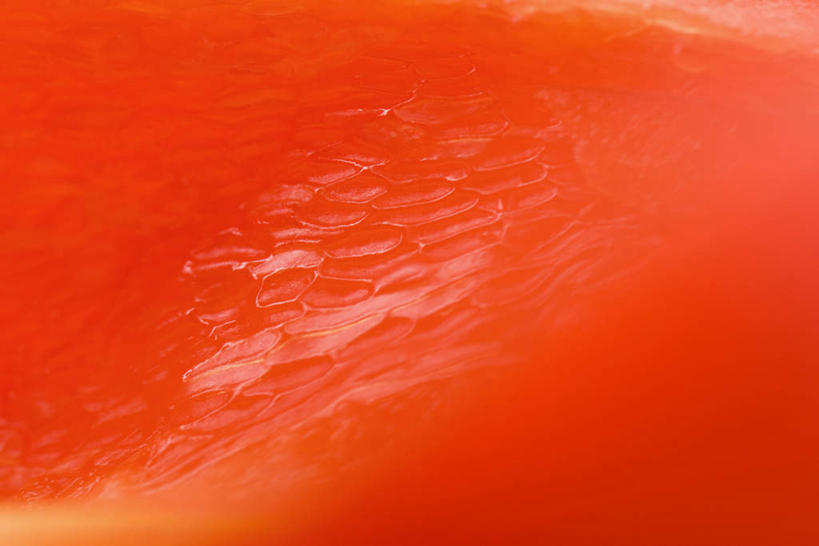 无人,横图,室内,特写,白天,正面,辣椒,蔬菜,切开,新鲜,纹路,纹理,食品,半个,食物,红色,切,一半,有机食品,绿色食品,剖面,彩椒,切面,辣角,红海椒,大椒,辣虎,广椒,肌理,甜椒,柿子椒,辣子,海椒,番椒,灯笼椒,彩图