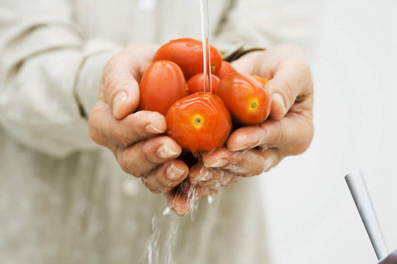 西方人,一个人,捧,横图,室内,特写,白天,正面,水,蔬菜,西红柿,欧洲,欧洲人,仅一个年轻女性,仅一个女性,仅一个人,一堆,许多,洗,堆叠,堆积,朦胧,模糊,新鲜,液体,水滴,食品,淋,食物,红色,有机食品,绿色食品,堆,年轻女性,女人,女性,白种人,樱桃番茄,圣女果,番茄,端,端着,捧着,手捧,半身,彩图