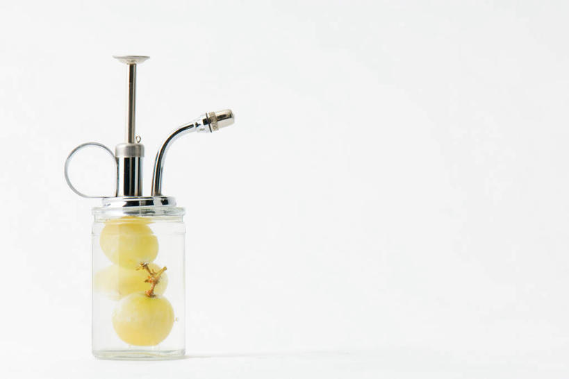 无人,横图,室内,特写,白天,白色背景,正面,餐桌,桌子,葡萄,水果,新鲜,生食,食品,果实,玻璃制品,食物,玻璃瓶,瓶子,香水瓶,摄影,有机食品,绿色食品,影棚,餐台,山葫芦,蒲桃,草龙珠,彩图,影棚拍摄,拍摄