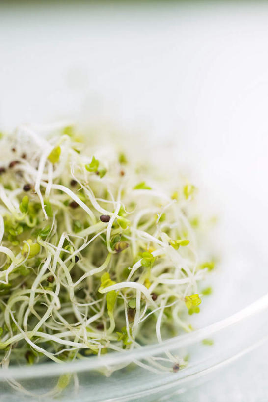 无人,竖图,俯视,室内,特写,白天,白色背景,桌面,桌子,蔬菜,餐具,叶子,玻璃,一堆,许多,堆叠,堆积,新鲜,碟子,盘,食品,绿叶,玻璃盘子,食物,盘子,碟,碗,嫩叶,放,摄影,有机食品,绿色食品,影棚,堆,苜蓿芽,叶,叶片,彩图,高角度拍摄,影棚拍摄,拍摄