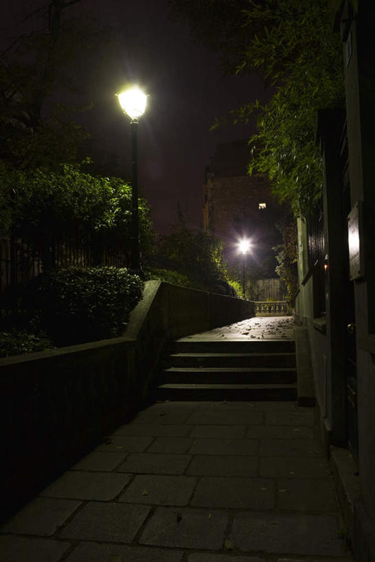 无人,栏杆,竖图,室外,夜晚,正面,植物,楼梯,道路,街道,路,路灯,公路,照明,法国,巴黎,欧洲,一排,整齐,扶手,阶梯,灯光,交通,首都,护栏,台阶,灯,树,树木,排列,绿色,自然,生长,成长,照亮,照明设备,队列,蒙马特区,马路,彩图