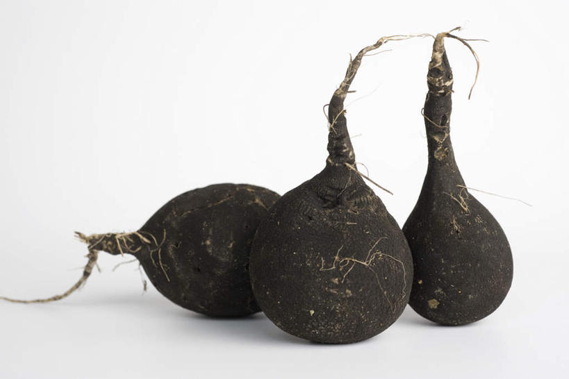 无人,横图,俯视,室内,特写,白天,白色背景,餐桌,桌子,萝卜,蔬菜,新鲜,食品,食物,三个,黑色,摄影,有机食品,绿色食品,影棚,餐台,莱菔,彩图,高角度拍摄,影棚拍摄,拍摄