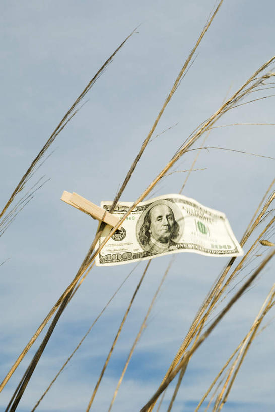 无人,竖图,室外,特写,白天,仰视,钱,美元,草地,植物,静物,钱币,云,云朵,云彩,草,蓝色,绿色,白云,蓝天,天空,夹子,天,钞票,金融,纸币,经济,晴朗,流通,纸钞,贸易,货币,现金,晴空,彩图,低角度拍摄