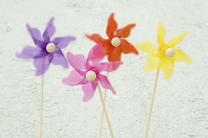 无人,横图,俯视,室外,白天,沙滩,风车,玩具,沙子,手工艺品,海岸,沙地,黄色,红色,紫色,四个,海滩,彩图,高角度拍摄