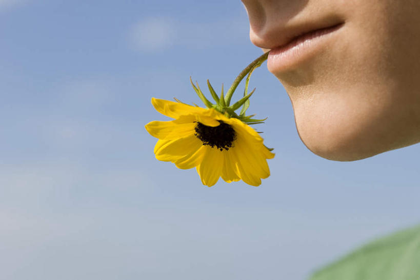 西方人,一个人,横图,室外,白天,侧面,向日葵,欧洲,欧洲人,仅一个男性,仅一个人,咬,盛开,花蕾,花,花瓣,花朵,鲜花,仅一个年轻男性,一朵,蓝色,蓝天,天空,天,花苞,花蕊,晴朗,咬着,叼,叼着,万里无云,朝阳花,葵花,望日莲,向阳花,转日莲,男人,男性,年轻男性,白种人,晴空,晴空万里,半身,彩图