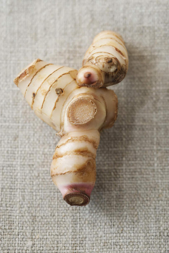 无人,竖图,俯视,室内,特写,白天,桌子,姜,蔬菜,阴影,新鲜,反射,影子,食品,食物,一个,摄影,有机食品,绿色食品,影棚,单个,生姜,老姜,彩图,高角度拍摄,影棚拍摄,拍摄