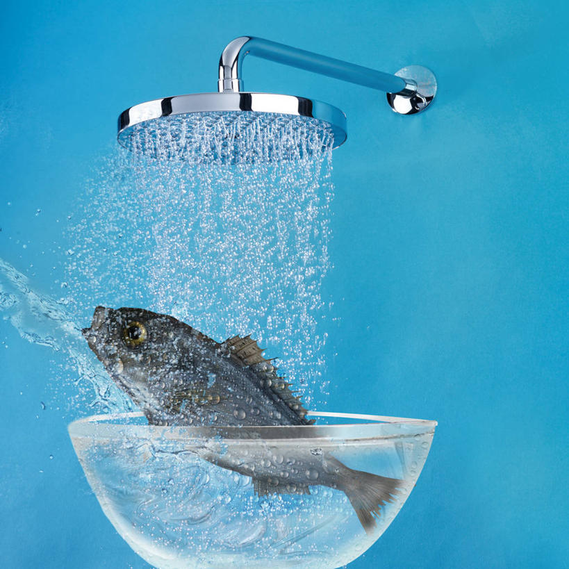 无人,方图,室内,白天,侧面,洗澡,数码,科技,水,卫生间,浴室,一条,阴影,飞溅,蓝色背景,溅,网络,鱼,液体,水滴,高光,几何,计算机图形,合成,注视,干净,鱼类,海洋生物,花洒,莲蓬头,水珠,浴缸,观察,看,清洁,享受,健康,放松,保健,观看,电脑合成图,数码合成图,察看,卫生,合成图,关注,喷洒,水生动物,水生物,卫浴设备,海底动物,喷雾头,写实,具体,具象,泡汤,水管装置,淋浴房,彩图,全身,沐浴,冲凉房,沐浴间,沐浴室