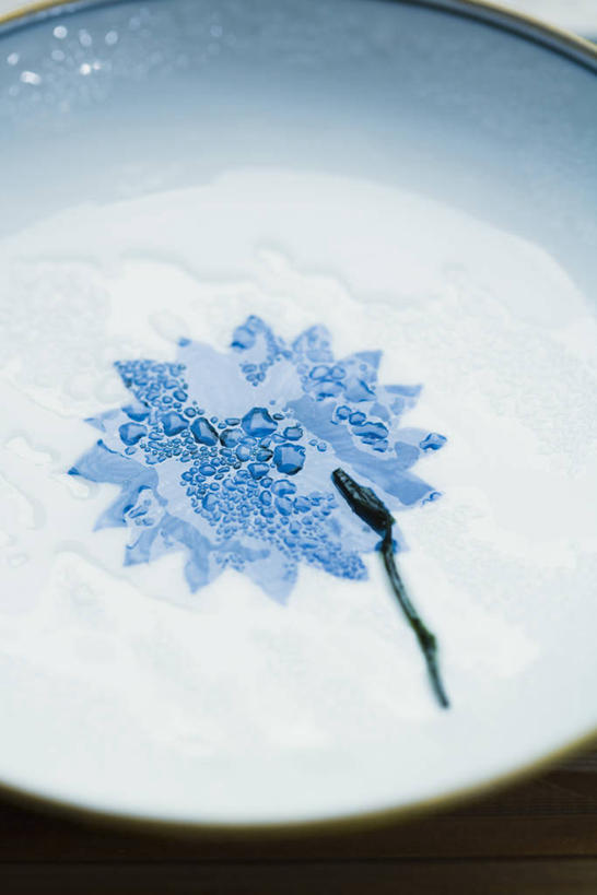 无人,竖图,俯视,室内,特写,白天,餐桌,桌子,餐具,装饰,盛开,碟子,盘,陶瓷,水滴,陶瓷制品,花蕾,花,花瓣,花朵,鲜花,蓝色,盘子,碟,花苞,花蕊,餐台,华丽,修饰,点缀,衬托,美观,雅致,雅观,水点,彩图,高角度拍摄