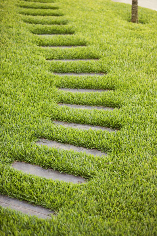 无人,竖图,俯视,室外,白天,旅游,度假,草地,草坪,美景,植物,道路,路,景观,小路,交通,娱乐,草,树,树木,绿色,自然,享受,休闲,景色,放松,乡间小路,生长,成长,自然风光,彩图,高角度拍摄