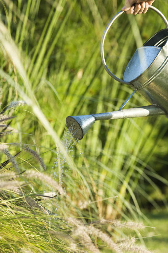 西方人,一个人,竖图,室外,白天,正面,旅游,度假,灌溉,草地,草坪,植物,欧洲,欧洲人,仅一个男性,仅一个人,阴影,服装,光线,壶,影子,休闲装,娱乐,浇水,水壶,草,仅一个年轻男性,衣服,绿色,阳光,茶壶,享受,休闲,休闲服,放松,服饰,户外运动,男人,男性,年轻男性,白种人,半身,彩图