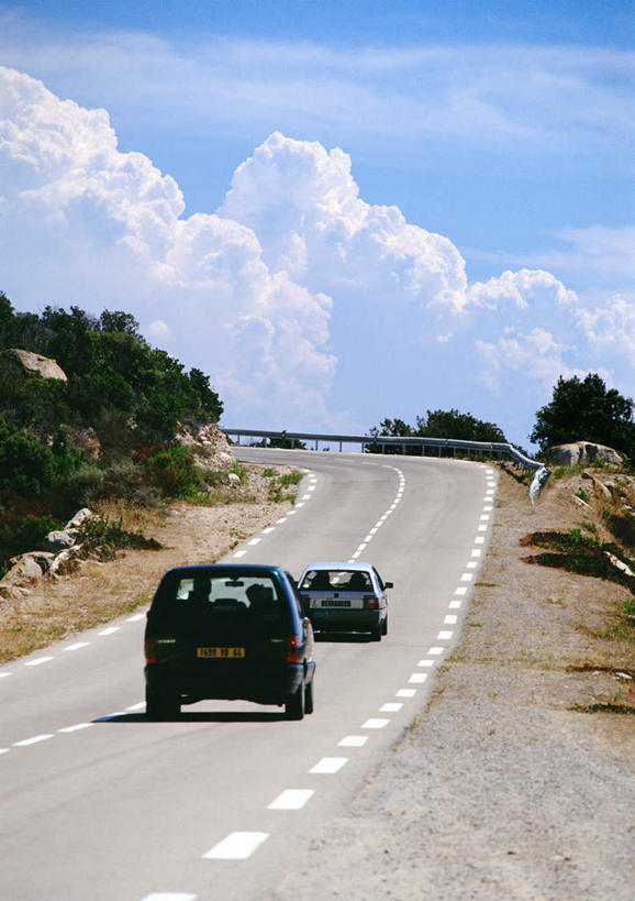 无人,竖图,室外,白天,正面,植物,道路,路,公路,汽车,两辆,阴影,朦胧,模糊,光线,影子,云,云朵,交通,云彩,车,树,树木,蓝色,绿色,白云,蓝天,天空,阳光,自然,交通工具,轿车,天,行驶,生长,成长,马路,彩图