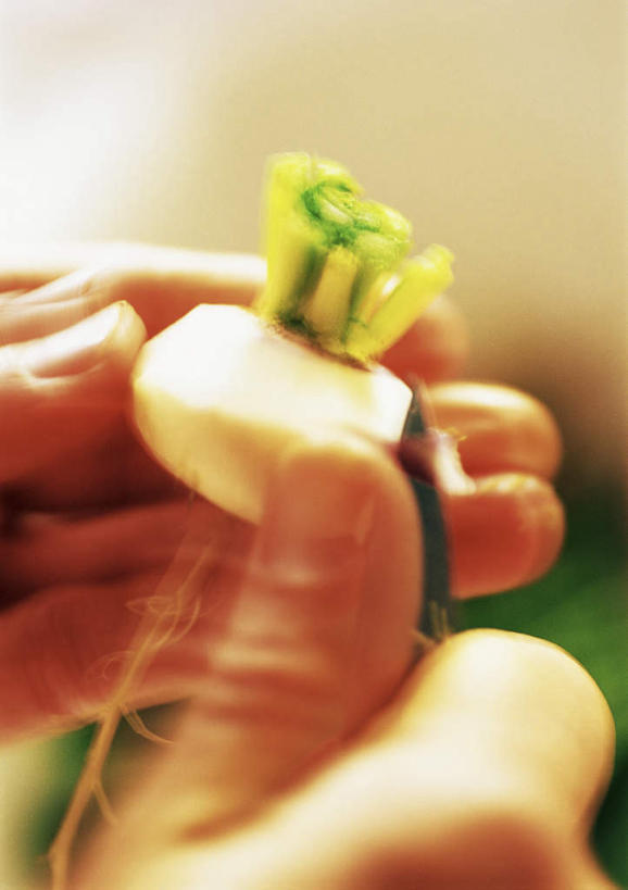 西方人,手,一个人,站,竖图,室内,特写,白天,侧面,蔬菜,欧洲,欧洲人,仅一个年轻女性,仅一个女性,仅一个人,朦胧,模糊,新鲜,食品,芜菁,拿,拿着,食物,一个,站着,手部,有机食品,绿色食品,单个,年轻女性,女人,女性,白种人,站立,半身,彩图