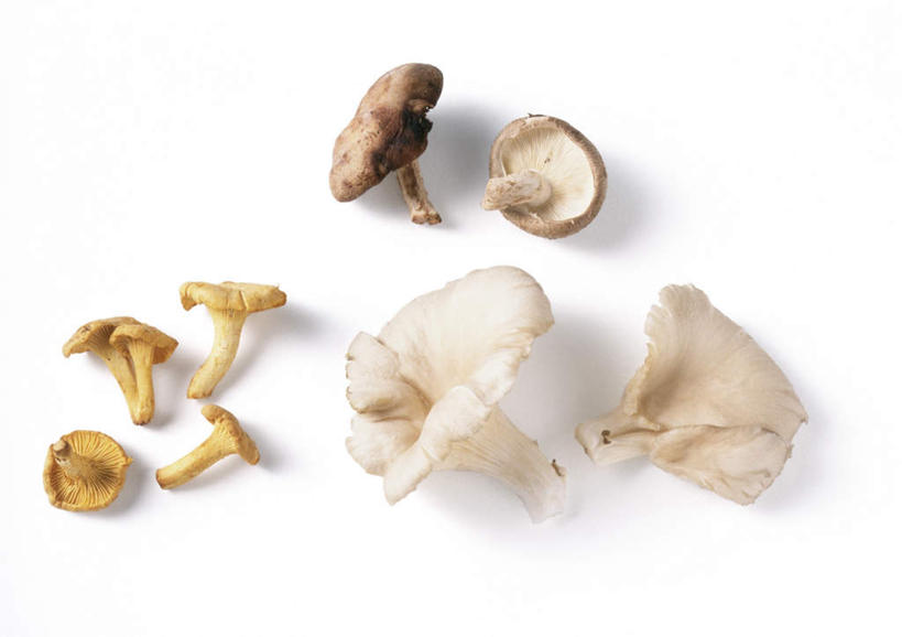 无人,横图,俯视,室内,特写,白天,白色背景,餐桌,桌子,蔬菜,静物,阴影,新鲜,反射,影子,菌菇,蘑菇,生食,食品,菌类,食物,食用菌,摄影,有机食品,绿色食品,影棚,餐台,蚝蘑,鸡油菌,杏黄菌,杏菌,彩图,高角度拍摄,影棚拍摄,拍摄