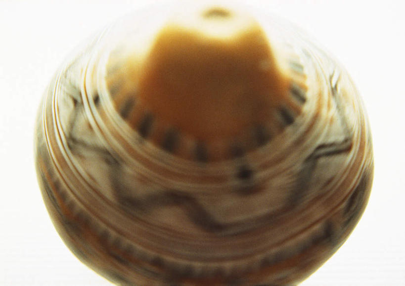 无人,横图,俯视,室内,特写,白天,白色背景,桌面,桌子,南瓜,蔬菜,朦胧,模糊,新鲜,艺术,泥塑,手工艺品,泥土,金瓜,食品,文化,番瓜,食物,一个,工艺品,摄影,有机食品,绿色食品,影棚,单个,麦瓜,倭瓜,彩图,高角度拍摄,影棚拍摄,拍摄