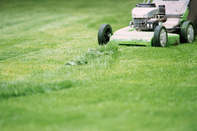 无人,横图,室外,特写,白天,正面,旅游,度假,机器,草地,草坪,美景,植物,静物,景观,娱乐,草,一个,绿色,自然,享受,休闲,景色,放松,单个,割草机,自然风光,彩图