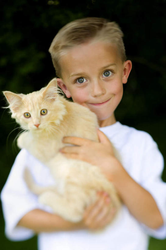 西方人,儿童,一个人,站,抱,笑,微笑,竖图,室内,白天,正面,纯洁,宠物,猫,欧洲,欧洲人,仅一个男性,仅一个人,服装,注视,休闲装,小孩,衣服,白色,动物,观察,看,站着,仅一个小孩,休闲,休闲服,可爱,童年,童趣,服饰,抱着,观看,察看,搂着,关注,猫咪,童真,烂漫,无邪,天真,男孩,男人,男性,白种人,孩子,搂,搂抱,站立,半身,彩图,男生