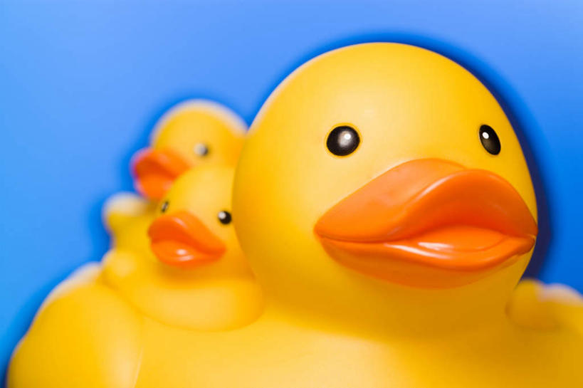 无人,横图,室内,特写,白天,正面,游戏,静物,玩具,蓝色背景,鸭子,玩,娱乐,一个,黄色,休闲,橡胶,益智,摄影,影棚,单个,活动,发泄,消遣,智力,橡胶制品,宣泄,橡胶小鸭,橡皮小鸭,玩耍,嬉戏,彩图,影棚拍摄,拍摄