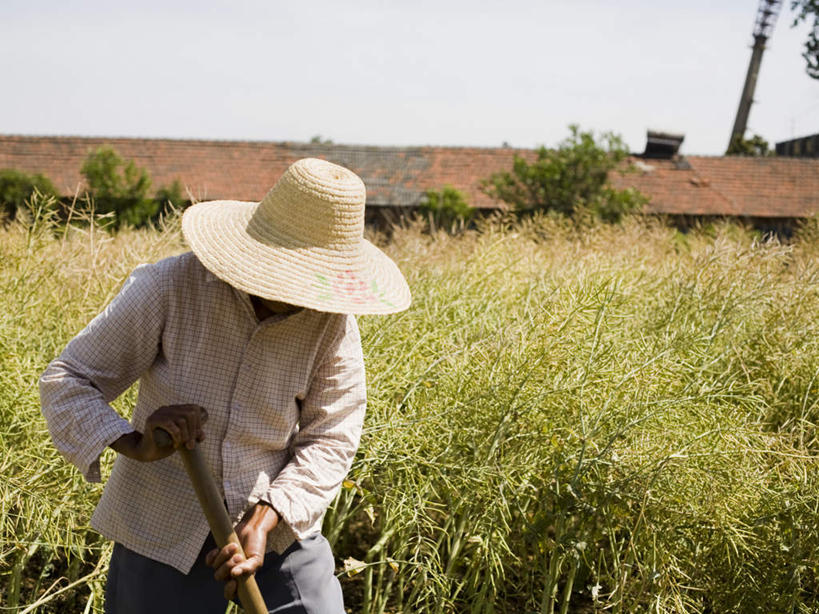 东方人,一个人,农民,站,横图,室外,白天,正面,仰视,草地,草坪,植物,帽子,亚洲,仅一个女性,仅一个人,握,服装,草帽,铲子,屋顶,顶棚,注视,休闲装,黄种人,草,衣服,蓝色,绿色,蓝天,天空,天,低头,观察,看,站着,休闲,休闲服,握着,服饰,仅一个老年女性,晴朗,观看,察看,关注,万里无云,一顶,垂头,农人,老年女性,女人,女性,亚洲人,晴空,晴空万里,农夫,站立,半身,彩图,低角度拍摄