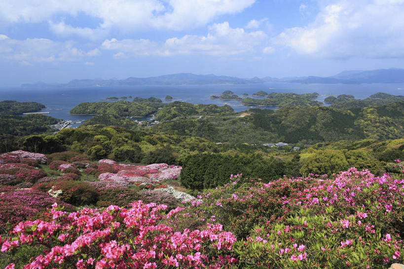 无人,横图,俯视,室外,白天,旅游,度假,山,山脉,树林,植物,杜鹃花,长崎,日本,亚洲,盛开,山峰,云,云朵,杜鹃,山峦,花蕾,云彩,娱乐,花,花瓣,花朵,鲜花,树,树木,红色,蓝色,绿色,白云,蓝天,天空,自然,群山,天,花苞,花蕊,享受,休闲,放松,生长,成长,东亚,日本国,长崎县,九州本岛,九州,九州岛,九州地方,映山红,彩图,高角度拍摄