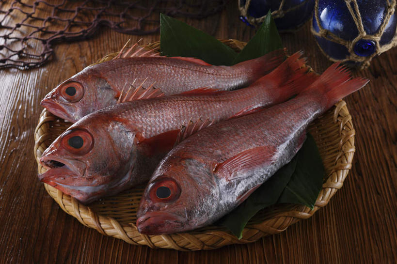 海鲜,无人,餐厅,横图,俯视,室内,特写,白天,烹饪,餐桌,桌子,叶子,日本料理,料理,食品,绿叶,鲷鱼,竹扁,水产,菜肴,美食,食物,红色,日式料理,日式,嫩叶,浮标,佳肴,三条,渔网,竹编,餐台,渔具,鲷,海鲷,加吉鱼,铜盆鱼,抓捕,海产品,捕捞,鱼网,拉网,捕捞工具,箬叶,芦苇叶,班加吉,加真鲷,叶,叶片,彩图,高角度拍摄,餐馆,饭店,饭馆