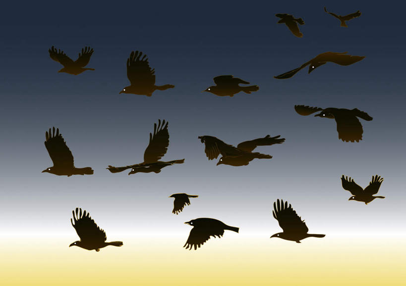 无人,横图,插画,室内,白天,正面,数码,科技,鸟,一群,许多,飞翔,展翅,阴影,网络,鸟类,高光,几何,计算机图形,合成,图画,画,黑色,乌鸦,电脑合成图,数码合成图,迁徙,漫画,写实,具体,具象,彩图
