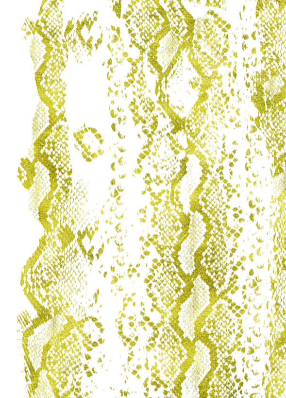 无人,竖图,插画,室内,白天,正面,数码,科技,阴影,网络,纹路,蟒蛇,蛇,纹理,高光,几何,计算机图形,合成,图画,画,黄色,电脑合成图,数码合成图,漫画,写实,具体,具象,彩图