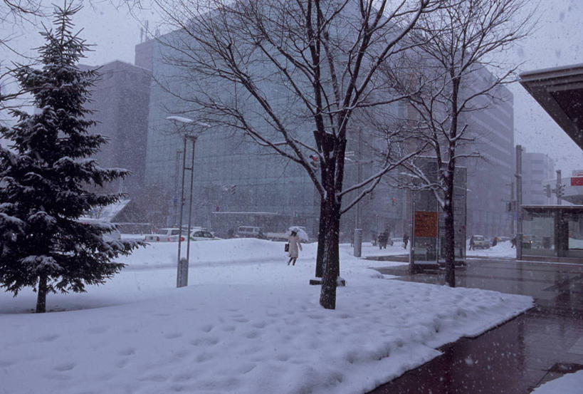 无人,高楼大厦,横图,室外,白天,正面,度假,美景,雪,植物,大雪,城市风光,城市,大厦,建筑,摩天大楼,松树,北海道,日本,亚洲,积雪,景观,雪景,冬季,冬天,娱乐,建设,树,树木,绿色,自然,享受,休闲,景色,放松,寒冷,生长,成长,坚定,东亚,札幌,日本国,北海道地方,北海道岛,长寿,严寒,县厅,贞洁,北区,彩图,大楼,高层建筑,高楼,摩天楼,札幌站,札幌市