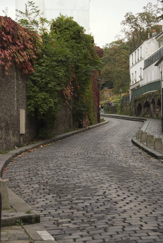 无人,家,竖图,室外,白天,正面,度假,美景,植物,城市风光,城市,道路,路,法国,巴黎,欧洲,阴影,弯曲,光线,影子,房屋,屋子,景观,公寓,小路,交通,娱乐,洋房,楼房,住宅,树,树木,蓝色,绿色,蓝天,天空,阳光,自然,天,享受,休闲,景色,放松,蜿蜒,生长,晴朗,成长,万里无云,法兰西共和国,蒙马特,法兰西第五共和国,蒙马特区,晴空,晴空万里,彩图,房子