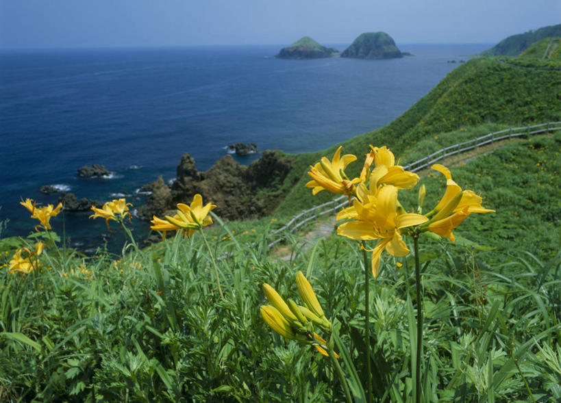 无人,横图,俯视,室外,白天,旅游,度假,草地,草坪,海浪,海洋,花海,花圃,石头,美景,山,山脉,植物,萱草,叶子,日本,亚洲,阴影,盛开,光线,石子,影子,景观,浪花,山峰,水平线,辽阔,海平线,山峦,花蕾,娱乐,草,花,花瓣,花朵,花卉,鲜花,黄色,蓝色,绿色,蓝天,天空,阳光,自然,海水,花丛,花束,花田,群山,天,花苞,花蕊,享受,休闲,广阔,景色,放松,晴朗,一望无际,自然风光,海景,东亚,本州,万里无云,本州岛,日本国,中部地方,新潟,新潟县,疗愁,萱草花,宜男,无边无际,一马平川,大海,风浪,海,海水的波动,近岸浪,石块,岩石,涌浪,晴空,晴空万里,忘忧草,金针菜,黄花菜,黄花,彩图,高角度拍摄,佐渡市,水天相接,水天一线