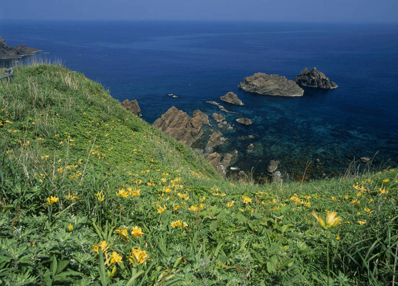 无人,横图,俯视,室外,白天,旅游,度假,草地,草坪,海浪,海洋,花海,花圃,石头,美景,山,山脉,植物,萱草,叶子,日本,亚洲,阴影,盛开,光线,石子,影子,景观,浪花,山峰,水平线,辽阔,海平线,山峦,花蕾,娱乐,草,花,花瓣,花朵,花卉,鲜花,黄色,蓝色,绿色,蓝天,天空,阳光,自然,海水,花丛,花束,花田,群山,天,花苞,花蕊,享受,休闲,广阔,景色,放松,晴朗,一望无际,自然风光,海景,东亚,本州,万里无云,本州岛,日本国,中部地方,新潟,新潟县,疗愁,萱草花,宜男,无边无际,一马平川,大海,风浪,海,海水的波动,近岸浪,石块,岩石,涌浪,晴空,晴空万里,忘忧草,金针菜,黄花菜,黄花,彩图,高角度拍摄,佐渡市,水天相接,水天一线