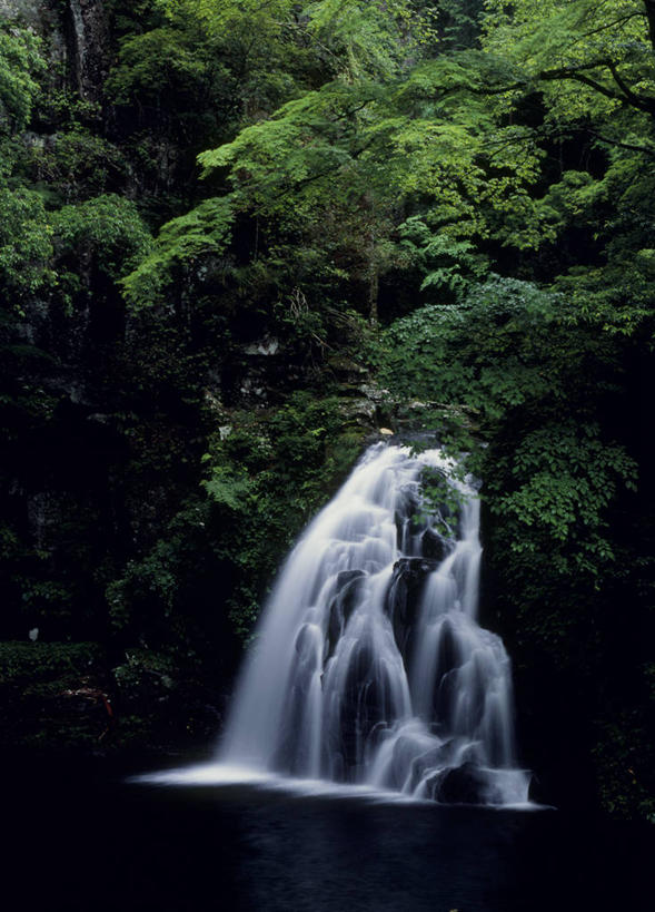 无人,竖图,室外,白天,仰视,旅游,度假,石头,美景,瀑布,森林,树林,水,植物,日本,亚洲,飞溅,溅,石子,液体,景观,水滴,悬崖,娱乐,水珠,树,树木,绿色,自然,享受,休闲,景色,放松,生长,成长,喷洒,自然风光,东亚,本州,三重县,本州岛,日本国,近畿地方,近畿,绝壁,三重,跌水,石块,岩石,彩图,低角度拍摄,赤目四十八瀑,名张市