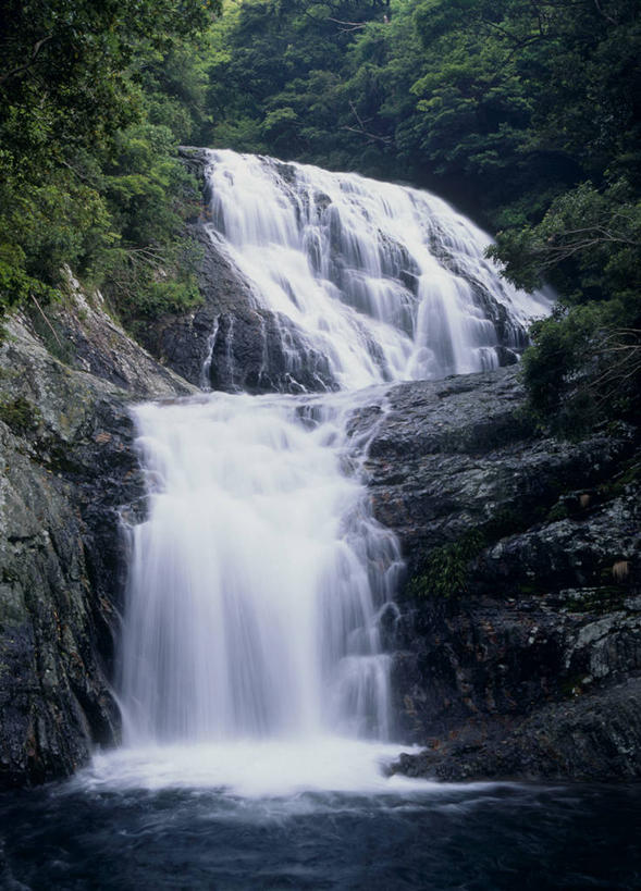 无人,竖图,室外,白天,仰视,旅游,度假,石头,美景,瀑布,森林,树林,水,植物,日本,亚洲,飞溅,溅,石子,液体,景观,水滴,悬崖,娱乐,水珠,树,树木,绿色,自然,享受,休闲,景色,放松,生长,成长,喷洒,自然风光,东亚,本州,本州岛,日本国,近畿地方,近畿,和歌山,和歌山县,绝壁,跌水,石块,岩石,彩图,低角度拍摄,白滨町,西牟娄郡,周参见町