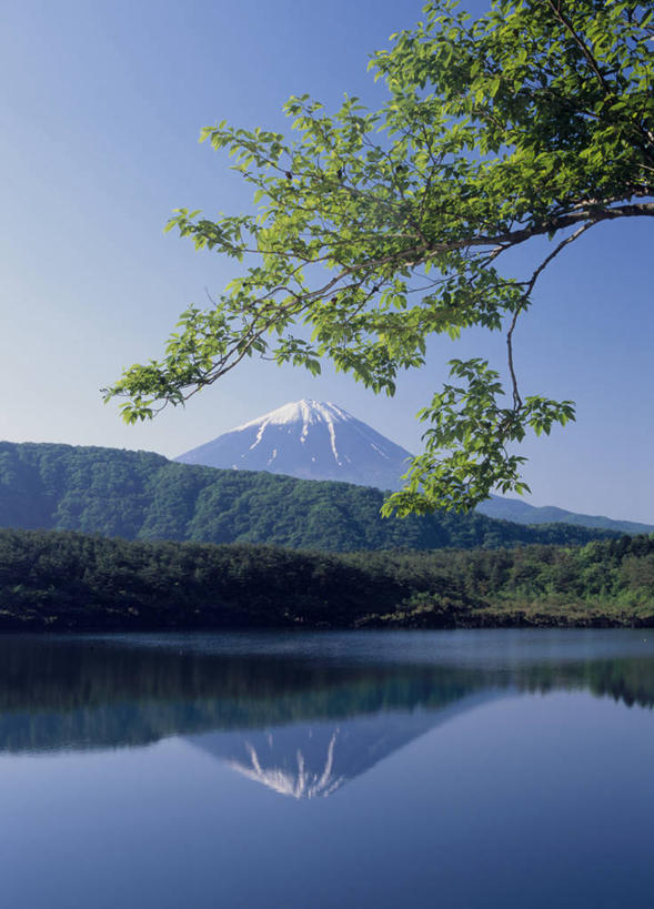 无人,竖图,室外,白天,正面,旅游,度假,湖,湖泊,火山,美景,山,水,雪,雪山,植物,大雪,富士山,日本,亚洲,阴影,光线,影子,冰,湖面,积雪,景观,山峰,水流,水面,雪景,冬季,冬天,山峦,娱乐,树,树木,蓝色,绿色,倒影,蓝天,天空,阳光,自然,湖水,天,享受,休闲,景色,放松,寒冷,生长,晴朗,成长,冰冷,倒映,自然风光,东亚,本州,万里无云,本州岛,日本国,中部地方,山梨,山梨县,严寒,冰凉,酷寒,凛冽,凛凛,极冷,富士五湖,反照,活火山,晴空,晴空万里,彩图,河口湖,南都留郡,富士河口湖町