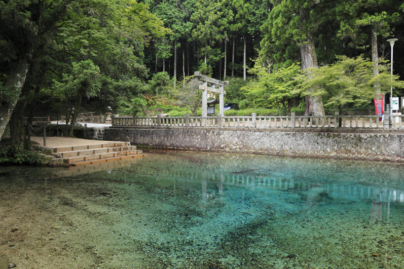 无人,横图,室外,白天,正面,旅游,度假,河流,美景,森林,树林,水,植物,日本,亚洲,节日,鸟居,河水,景观,水流,文化,娱乐,树,树木,绿色,自然,祈祷,享受,休闲,健康,景色,放松,许愿,宗教,信仰,生长,成长,纪念,祈求,自然风光,东亚,本州,本州岛,日本国,中国地方,山口,山口县,平安,彩图,美祢,美祢市