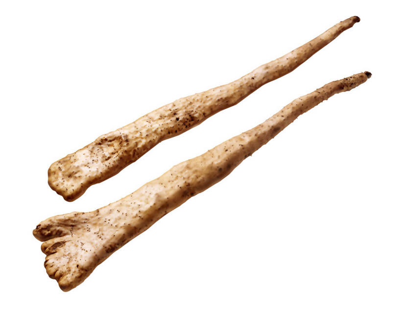 无人,横图,插画,室内,特写,白天,白色背景,正面,数码,科技,蔬菜,阴影,新鲜,网络,山药,食品,高光,几何,计算机图形,合成,图画,画,食物,两个,有机食品,绿色食品,电脑合成图,数码合成图,合成图,漫画,写实,具体,具象,薯蓣,怀山药,淮山药,玉延,山薯,彩图