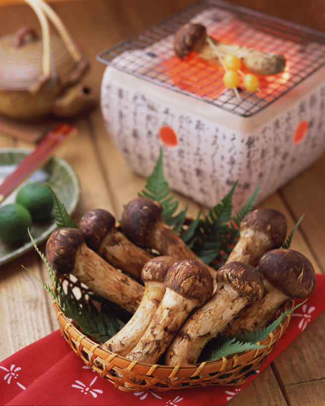无人,竖图,俯视,室内,特写,白天,植物,蔬菜,玻璃,许多,新鲜,菌菇,蘑菇,食品,坚果,褐色,松茸,草药,药草,很多,菌类,松蕈,中药,玻璃制品,食物,容器,碗,干果,食用菌,有机食品,绿色食品,储藏,储存,药材,中草药,中药材,本草,大花菌,剥皮菌,菌中之王,山珍,松菇,松菌,松口蘑,裕茂萝,银杏,白果,彩图,高角度拍摄,贮存