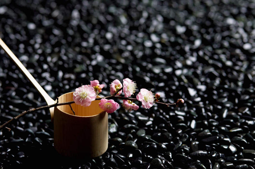 无人,横图,俯视,室外,特写,白天,石头,盛开,木制,石子,勺子,梅花,花蕾,花,花瓣,花朵,鲜花,粉色,木制品,花苞,花蕊,鹅卵石,石块,彩图,高角度拍摄