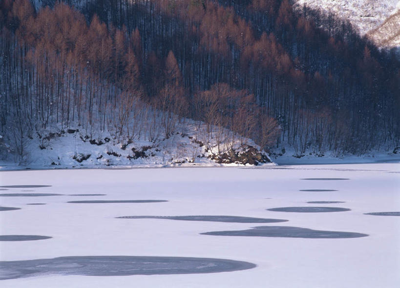 无人,横图,室外,白天,正面,旅游,度假,美景,森林,树林,雪,植物,大雪,日本,亚洲,积雪,景观,雪景,冬天,娱乐,树,树木,自然,享受,休闲,景色,放松,生长,成长,自然风光,东亚,本州,本州岛,日本国,东北地方,福岛,福岛县,彩图