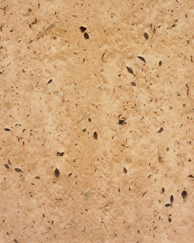 无人,竖图,俯视,室内,特写,白天,静物,花纹,装饰,纹路,图案,纹理,谷类,谷物,糯米,米,大米,黄色,华丽,修饰,点缀,肌理,衬托,美观,雅致,雅观,江米,糯米纸,彩图,高角度拍摄