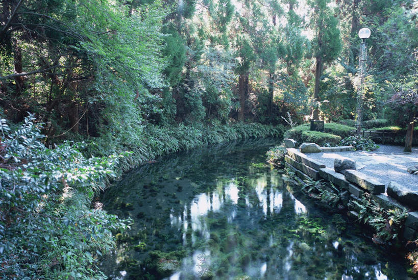 无人,横图,室外,白天,正面,旅游,度假,草地,草坪,河流,石头,美景,树林,水,植物,日本,亚洲,石子,河水,景观,水流,娱乐,草,树,树木,绿色,小溪,自然,溪水,享受,休闲,景色,放松,生长,成长,自然风光,东亚,日本国,九州本岛,九州,九州岛,九州地方,熊本,熊本县,石块,岩石,彩图