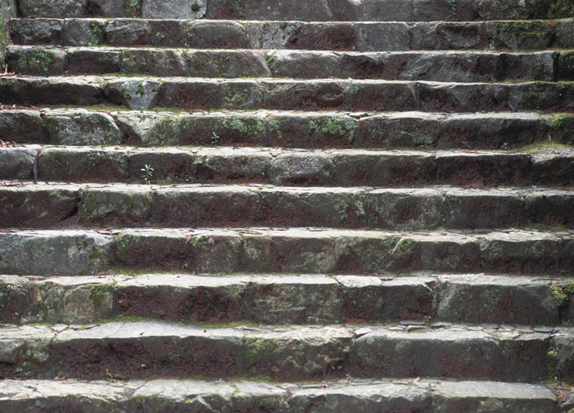 无人,横图,室外,白天,正面,石头,楼梯,阴影,古老,光线,石子,影子,阶梯,青苔,台阶,绿色,阳光,石块,岩石,彩图