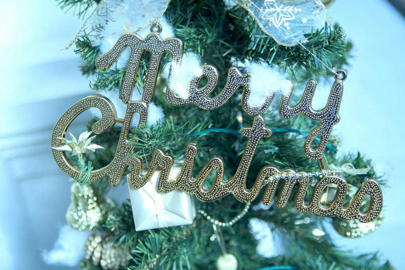 无人,横图,俯视,室内,特写,白天,植物,礼盒,礼物,照明,圣诞节,节日,庆祝,英文,标志,彩灯,铃铛,丝带,文字,纸盒,字符,字母,灯光,圣诞树,文化,标识,圣诞快乐,灯,盒子,装饰品,树,树木,绿色,自然,包装盒,彩带,礼品盒,工艺品,灯具,庆典,花灯,礼品,生长,成长,纪念,英文字母,照亮,照明设备,彩图,高角度拍摄