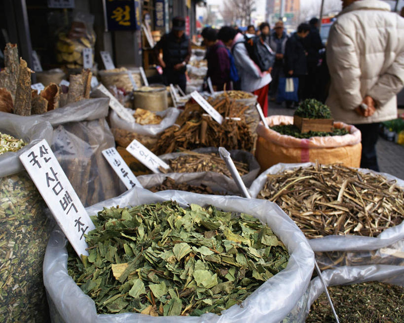 东方人,横图,室外,白天,正面,度假,美景,植物,城市风光,城市,首尔,汉城,韩国,亚洲,医药,标志,文字,字符,字母,景观,草药,首都,许多人,黄种人,娱乐,标识,中药,药店,一群人,享受,休闲,景色,放松,药材,中草药,东亚,中药材,本草,大韩民国,首尔市,首尔特别市,特别市,男人,男性,年轻男性,年轻女性,女人,女性,亚洲人,半身,彩图