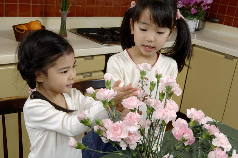 东方人,儿童,两个人,伙伴,朋友,坐,交叉,横图,室内,白天,正面,友谊,纯洁,热情,餐桌,厨房,柜子,桌子,康乃馨,竹子,花瓶,椅子,亚洲,一堆,许多,堆叠,堆积,竹制,服装,盛开,编织,篮子,灶台,储物柜,祝福,花蕾,注视,黄种人,花,花瓣,花朵,鲜花,小孩,衣服,粉色,竹篮,花苞,花蕊,观察,看,张嘴,可爱,母爱,清纯,童年,童趣,伸手,服饰,餐台,观看,竹条,堆,交织,察看,竹制品,衣着,储存,穿着,关注,亲情,摆弄,燃气灶,张大嘴巴,童真,烂漫,无邪,思念,宽容,热恋,真挚,衣饰,穿插,储备,蕴藏,贮备,热心,天真,友情,麝香石竹,石竹,香石竹,女孩,女人,女性,亚洲人,张开嘴,橙子,坐着,半身,彩图,灶间,魅力,贮存,女生