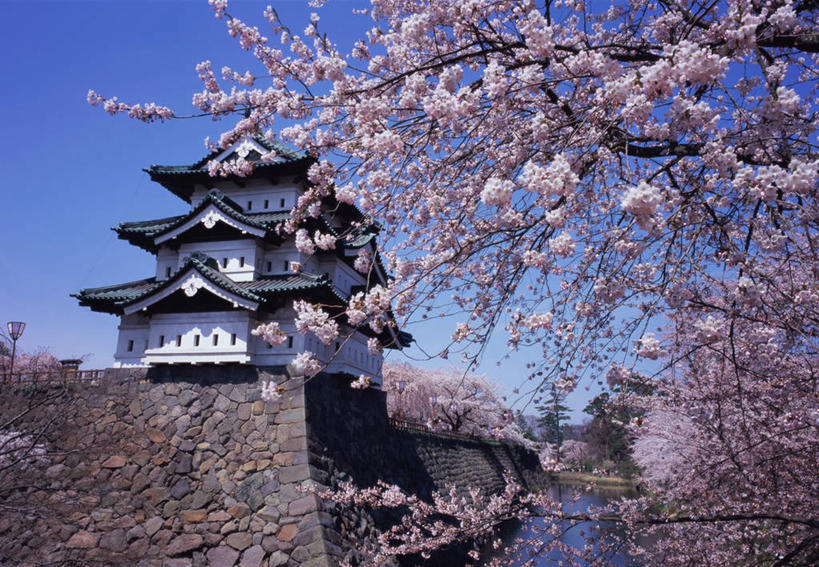 无人,横图,室外,白天,仰视,旅游,度假,幸福,纯洁,河流,名胜古迹,水,植物,地标,樱花,日本,亚洲,遗迹,盛开,河水,水流,云,云朵,樱花树,花蕾,云彩,古迹,文物,娱乐,古建筑,花,花瓣,花朵,鲜花,树,树木,粉色,蓝色,白云,蓝天,天空,自然,天,花苞,花蕊,享受,休闲,旅游胜地,放松,生长,晴朗,成长,等待,生命,古文明,东亚,本州,本州岛,日本国,青森,青森县,东北地方,仙樱花,福岛樱,青肤樱,高尚,热烈,弘前,弘前市,弘前城,鹰冈城,晴空,荆桃,彩图,低角度拍摄,标志性建筑