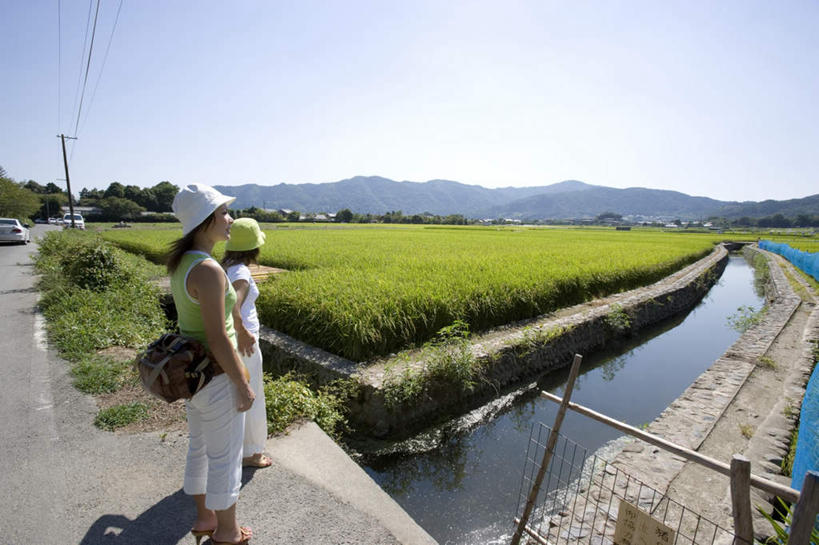 东方人,两个人,伙伴,朋友,农田,站,横图,室外,白天,旅游,度假,友谊,庄稼,河流,美景,森林,山,树林,水,太阳,植物,帽子,京都,日本,亚洲,眺望,阴影,服装,光线,包,皮包,影子,河水,景观,山峰,水流,山峦,注视,休闲装,黄种人,娱乐,树,树木,背面,衣服,蓝色,绿色,蓝天,天空,阳光,自然,遮阳帽,天,夏天,看,站着,享受,休闲,休闲服,景色,放松,服饰,京都府,生长,晴朗,成长,单肩包,自然风光,东亚,本州,万里无云,本州岛,日本国,近畿地方,近畿,嵯峨野,岚山,友情,年轻女性,女人,女性,亚洲人,晴空,晴空万里,站立,彩图,全身,耕地,庄稼田