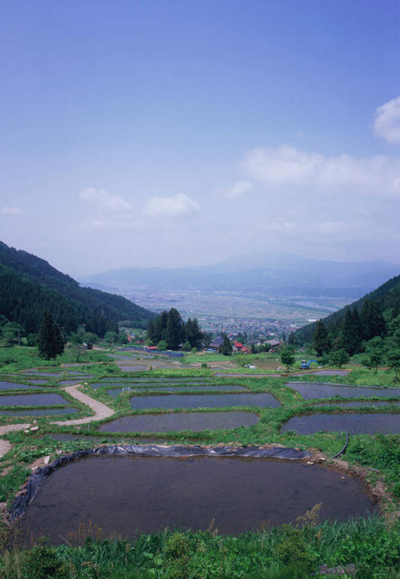 无人,农田,竖图,室外,白天,正面,旅游,度假,庄稼,梯田,农作物,森林,山,山脉,树林,植物,建筑,长野县,日本,亚洲,曲折,日本文化,弯曲,池塘,山峰,水塘,云,云朵,山峦,云彩,娱乐,树,树木,蓝色,绿色,白云,蓝天,天空,自然,群山,天,夏天,享受,休闲,旅游胜地,放松,蜿蜒,生长,晴朗,成长,东亚,本州,本州岛,日本国,中部地方,长野,晴空,彩图,耕地,庄稼田,传统文化