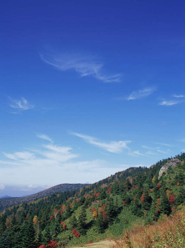 无人,竖图,室外,白天,正面,旅游,度假,美景,山,山脉,树林,植物,长野县,日本,亚洲,景观,山峰,云,云朵,山峦,云彩,娱乐,树,树木,蓝色,绿色,白云,蓝天,天空,自然,群山,天,享受,休闲,景色,放松,白桦,生长,晴朗,成长,自然风光,东亚,本州,本州岛,日本国,中部地方,长野,志贺高原,晴空,桦树,桦皮树,桦木,彩图